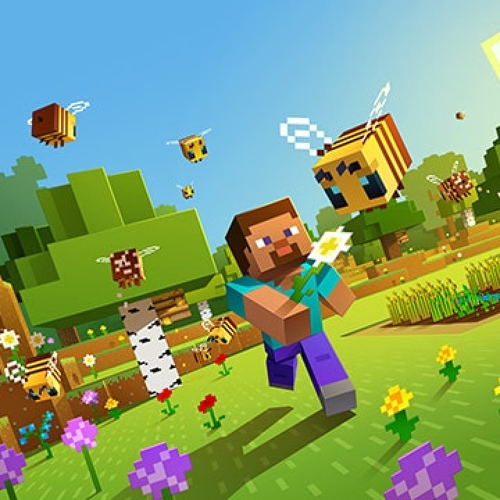 Minecraft - Via Microsoft