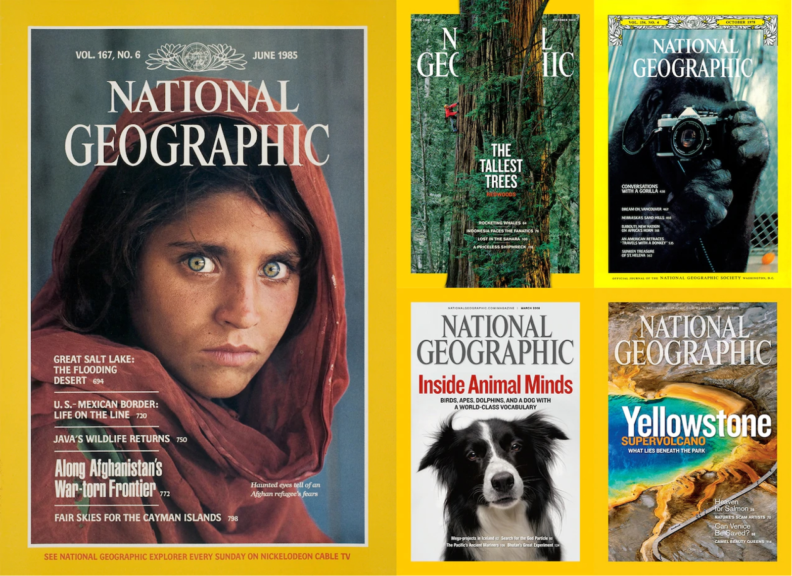 Via National Geographic