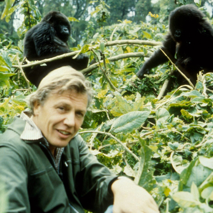 David Attenborough. Via BBC.